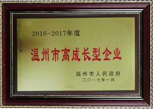 2016年-2017年温州高成长型企业