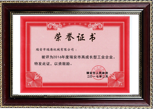 2016年度瑞安市高成长型企业证书